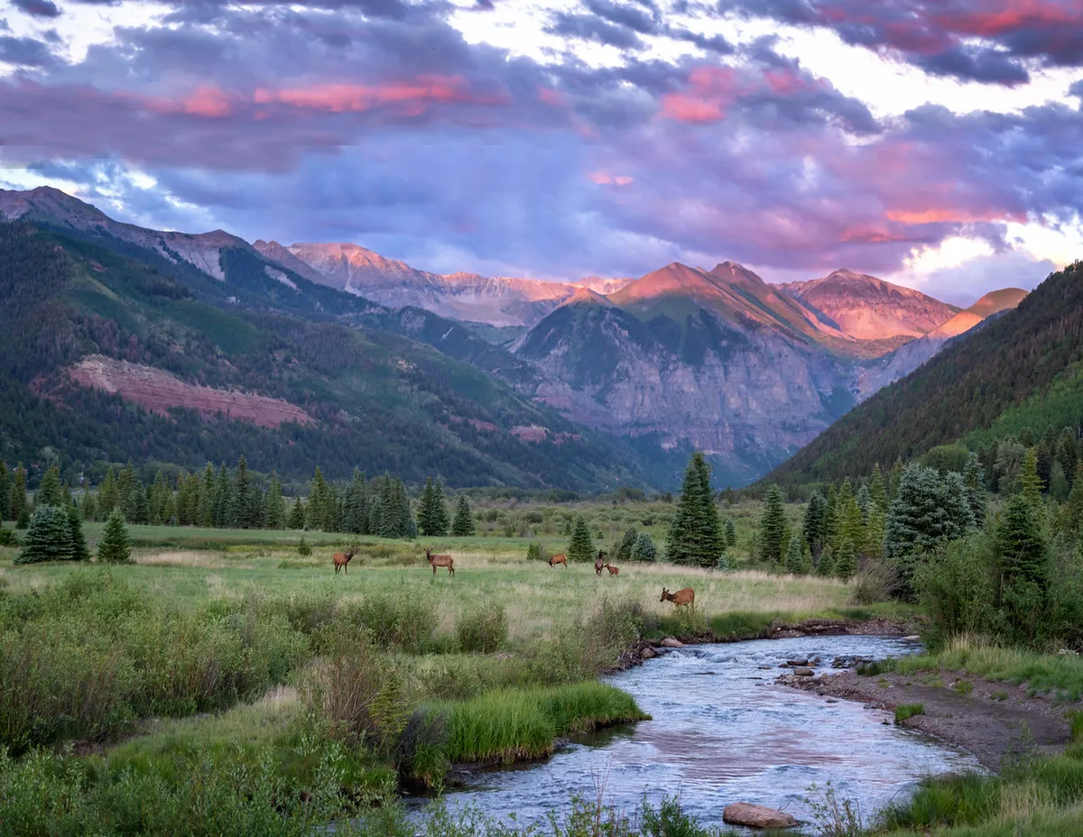 This exterior image captures a breathtaking view of Telluride’s majestic mountains, a lush meadow, a gentle stream, and deer roaming in the foreground. The expansive sky above adds a sense of openness and tranquility, inviting viewers to imagine stepping outside for a refreshing stroll or quiet moment in nature.